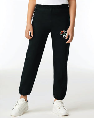 Heavy Blend Sweatpants- 18200- Youth and Adult